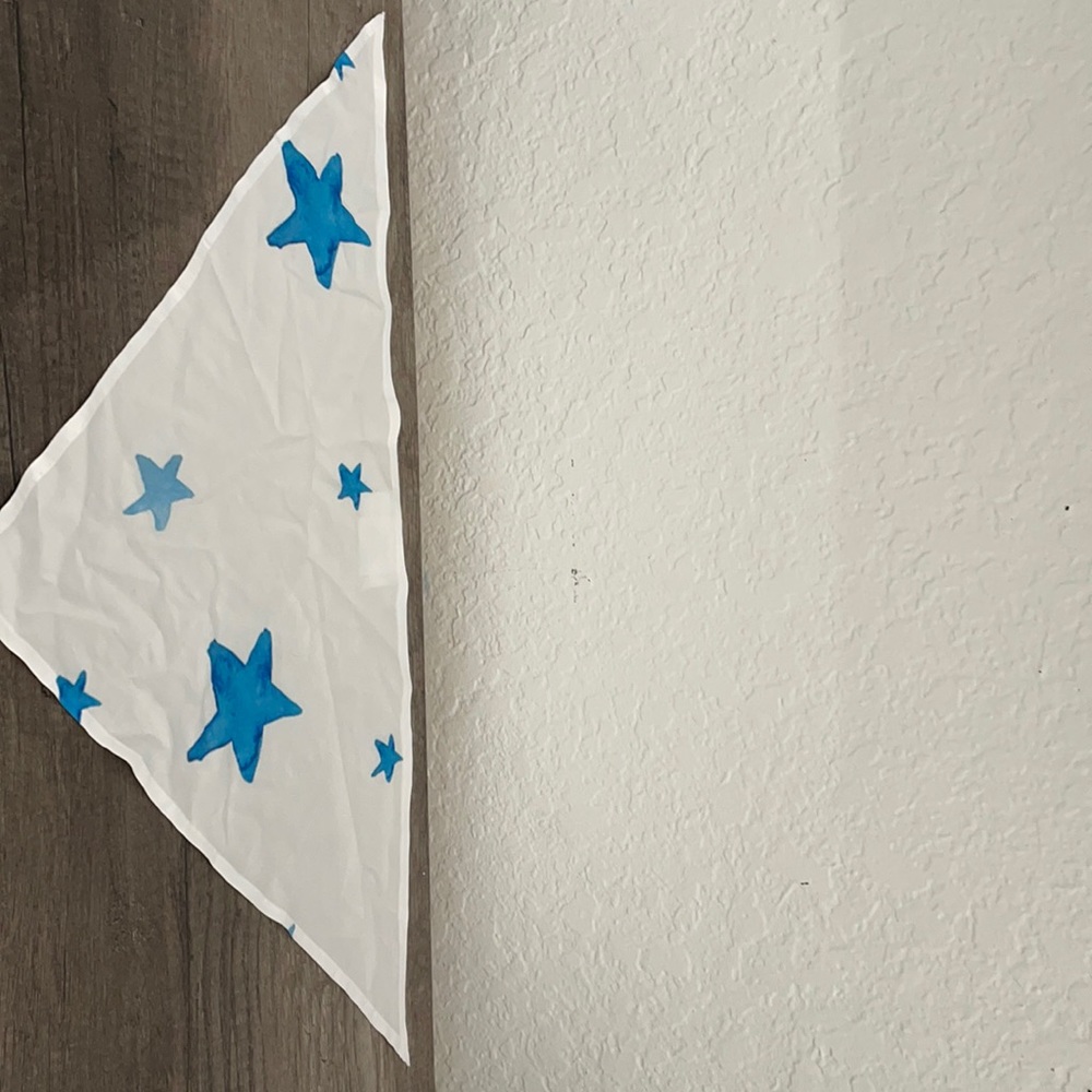Dog bandana